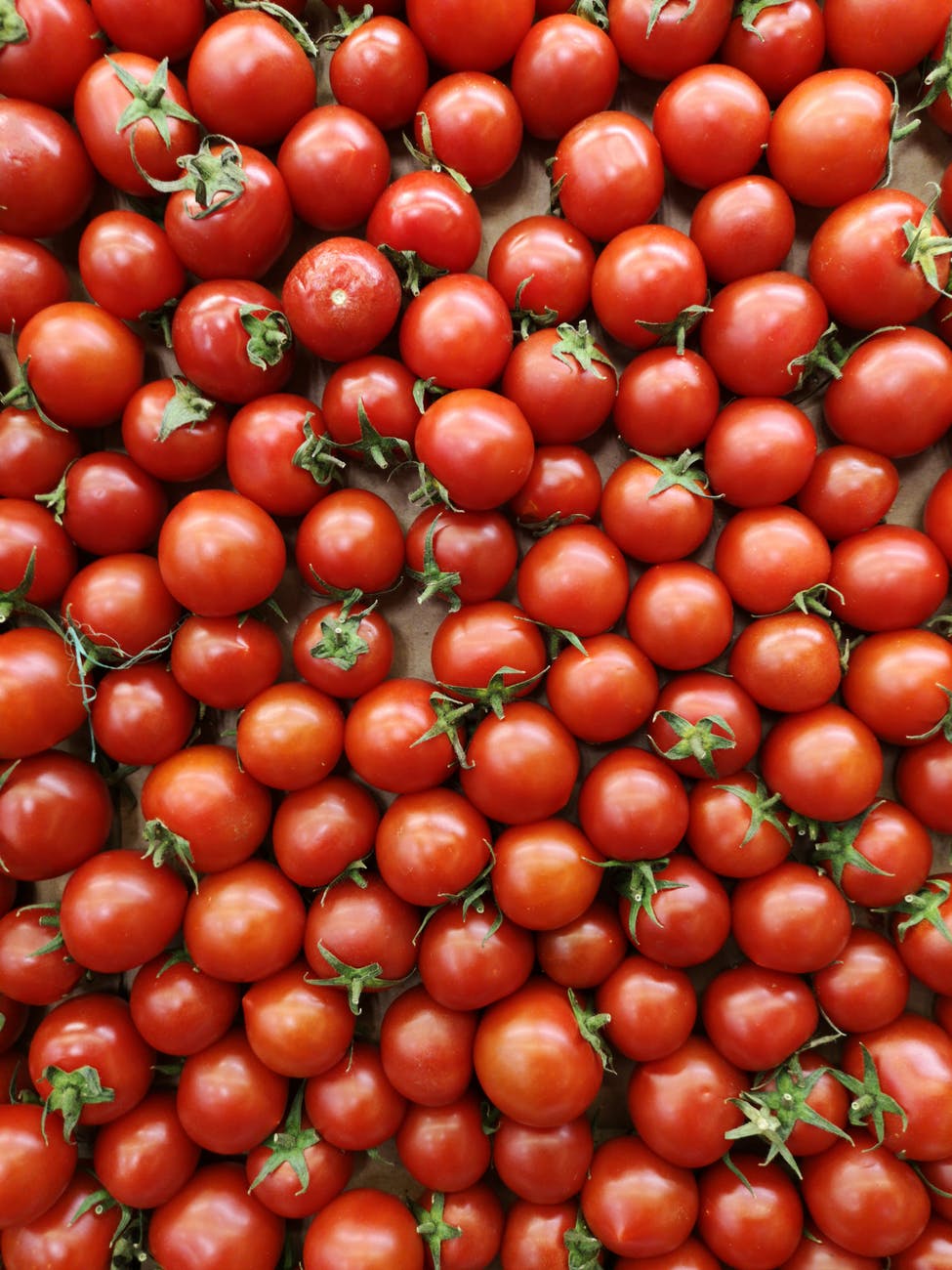 Ultimate Guide to growing beefsteak tomatoes